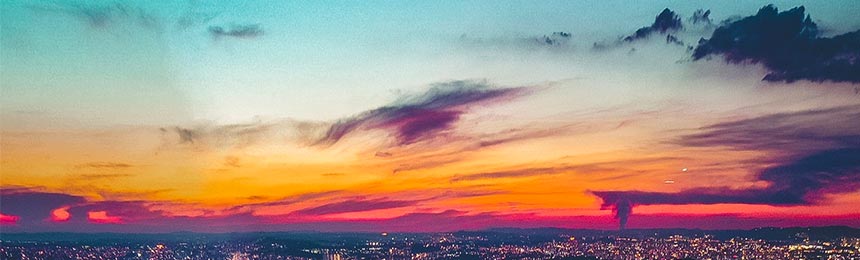 桐乡茶虫网_桐乡品茶